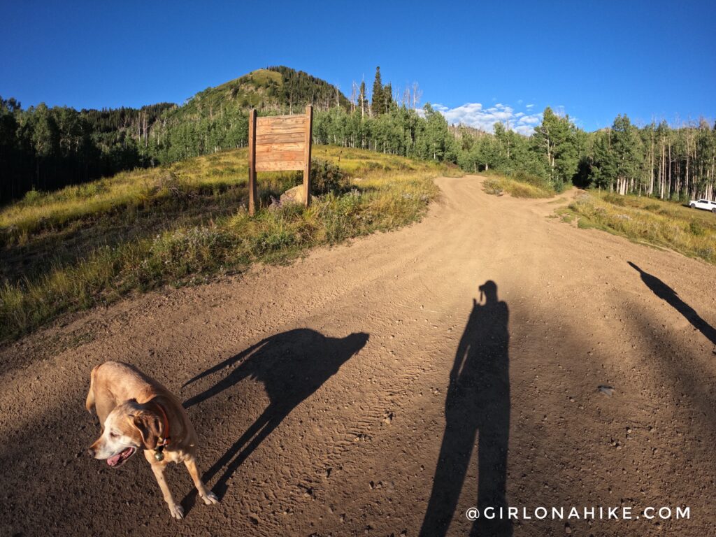 Hiking to Ant Knolls, Wasatch Mountains