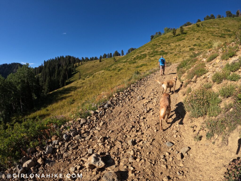 Hiking to Ant Knolls, Wasatch Mountains