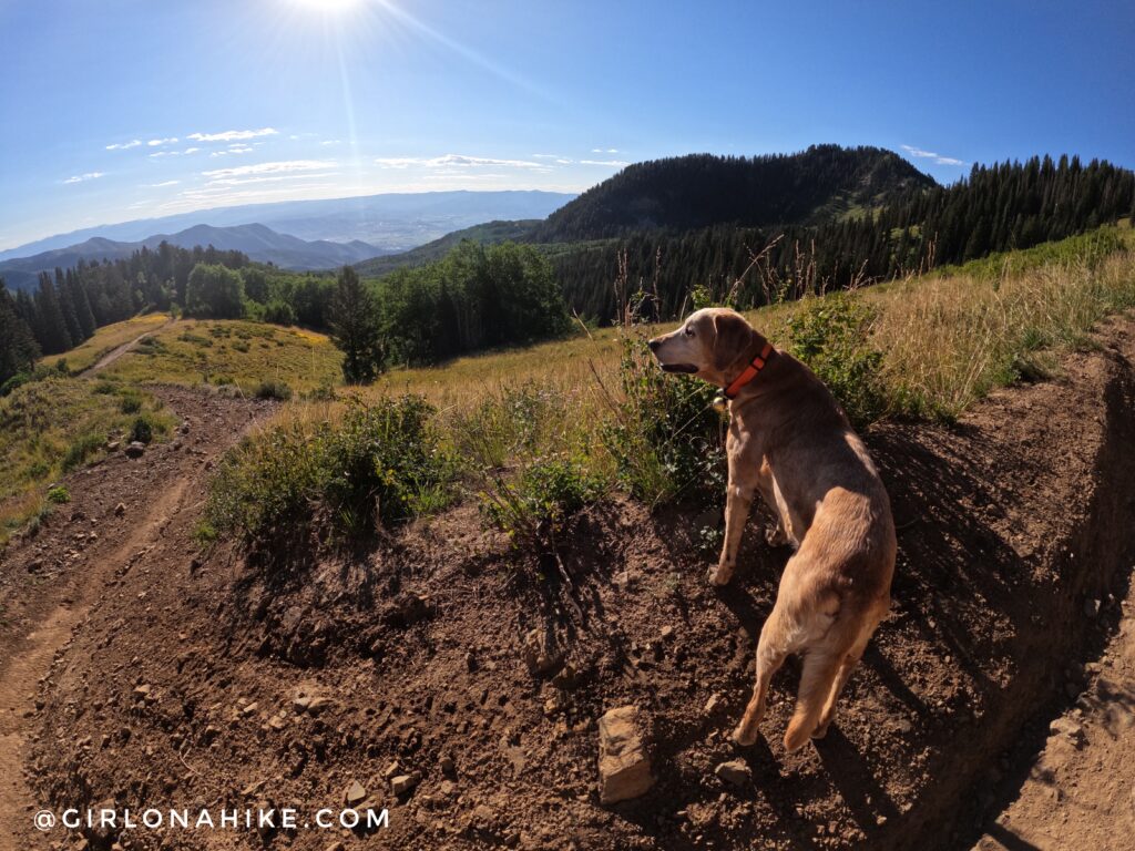 Hiking to Ant Knolls, Wasatch Mountains