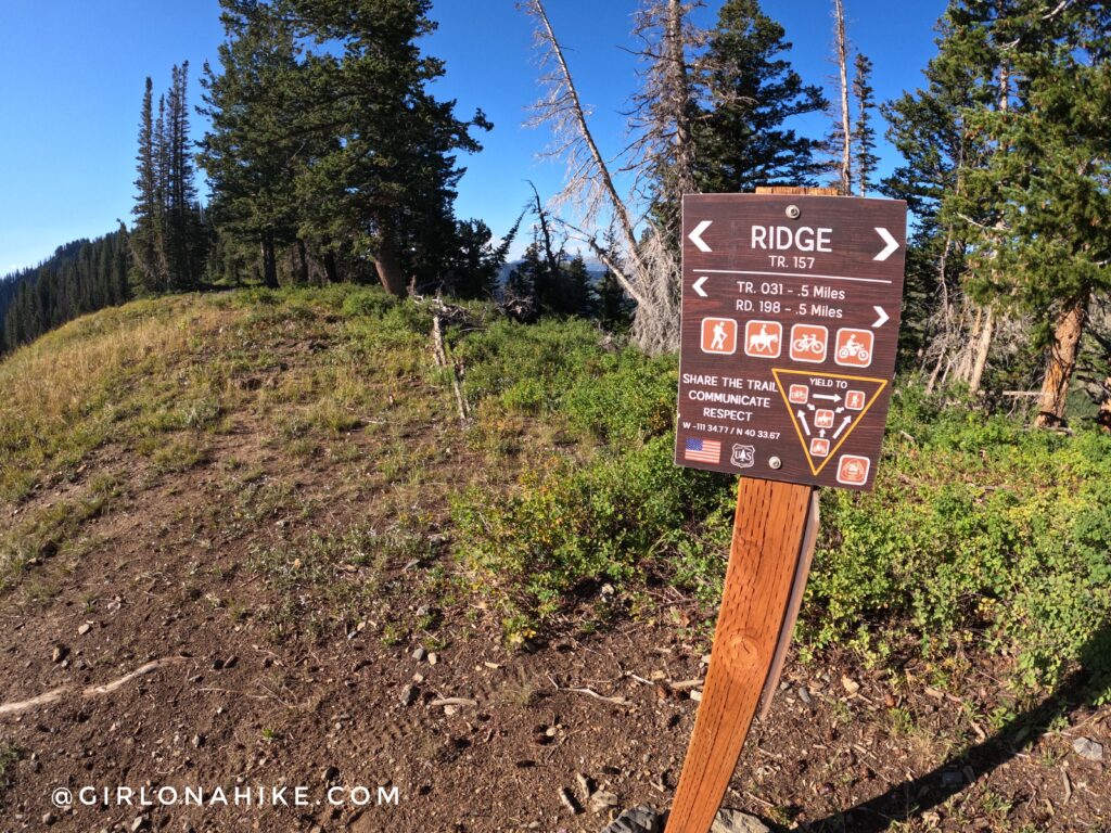 Hiking to Ant Knolls, Wasatch Mountains