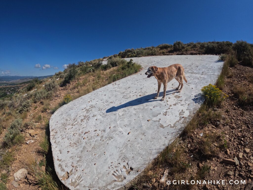 Hiking PC Hill in Park City