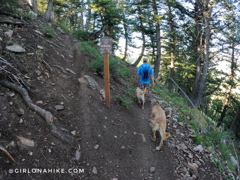 Hiking to Ant Knolls, Wasatch Mountains