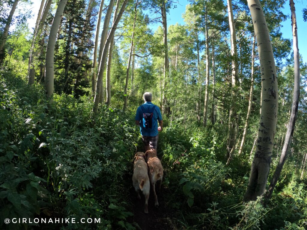 Hiking to Ant Knolls, Wasatch Mountains