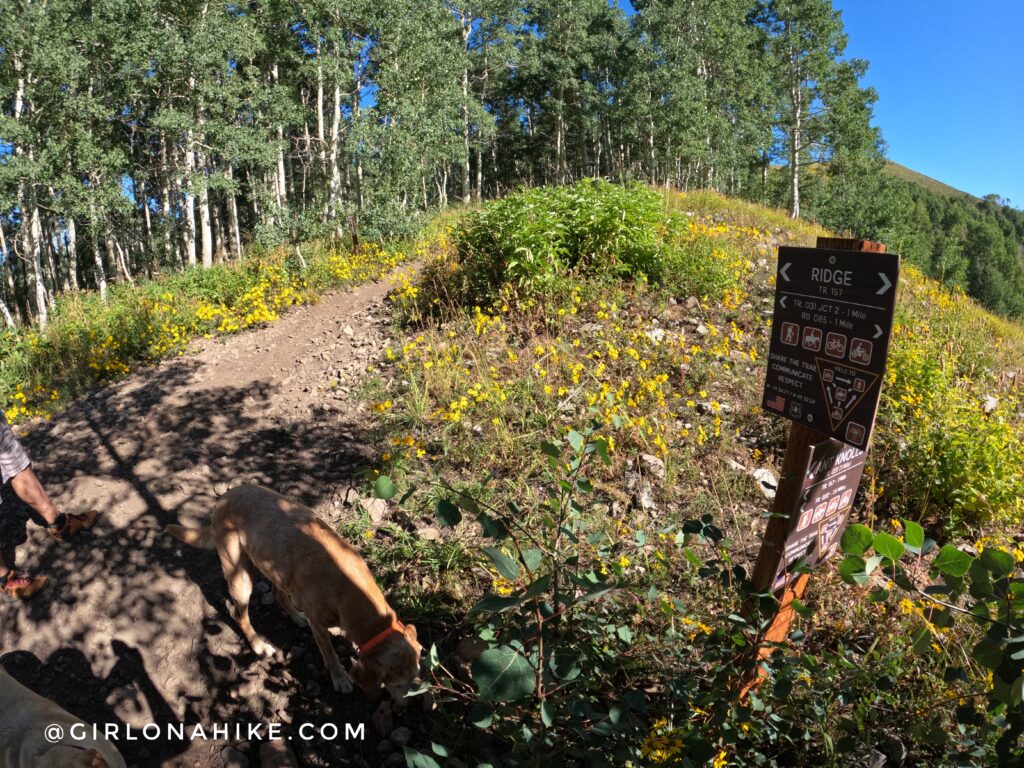 Hiking to Ant Knolls, Wasatch Mountains