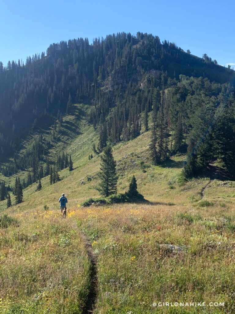 Hiking to Ant Knolls, Wasatch Mountains