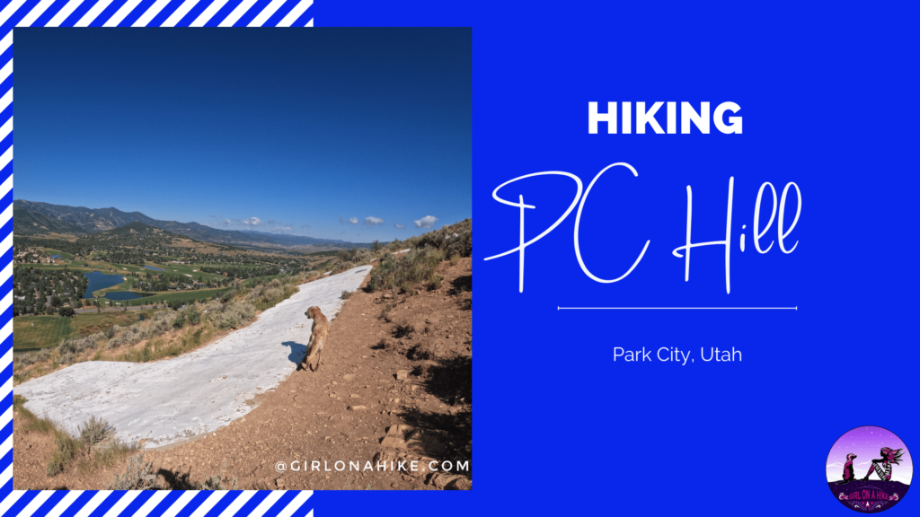 Hiking PC Hill, park city