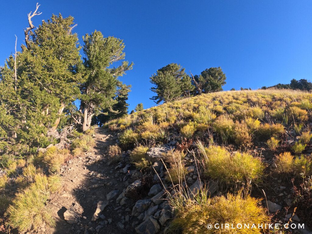 Hiking to Gobblers Knob and Mt. Raymond