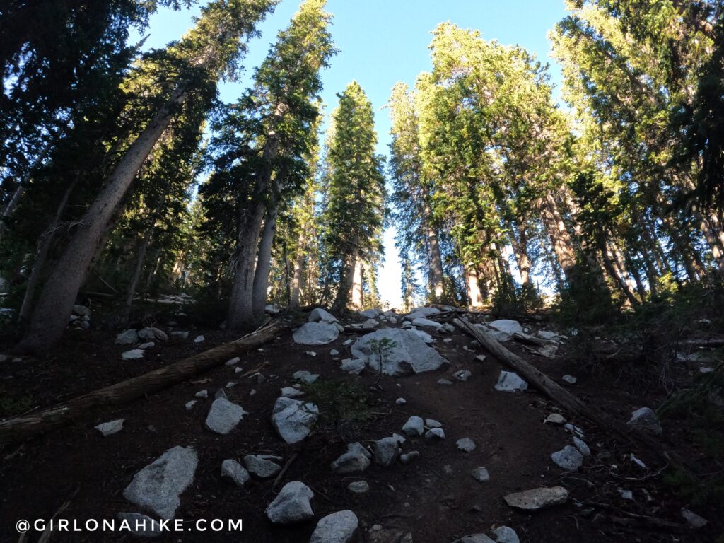 Hiking to the Pfeifferhorn, Little Cottonwood Canyon