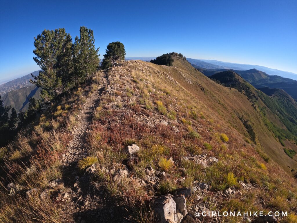 Hiking to Gobblers Knob and Mt. Raymond