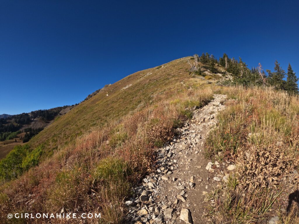 Hiking to Gobblers Knob and Mt. Raymond