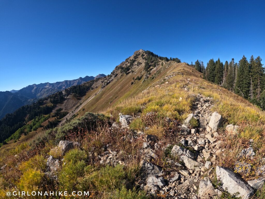 Hiking to Gobblers Knob and Mt. Raymond