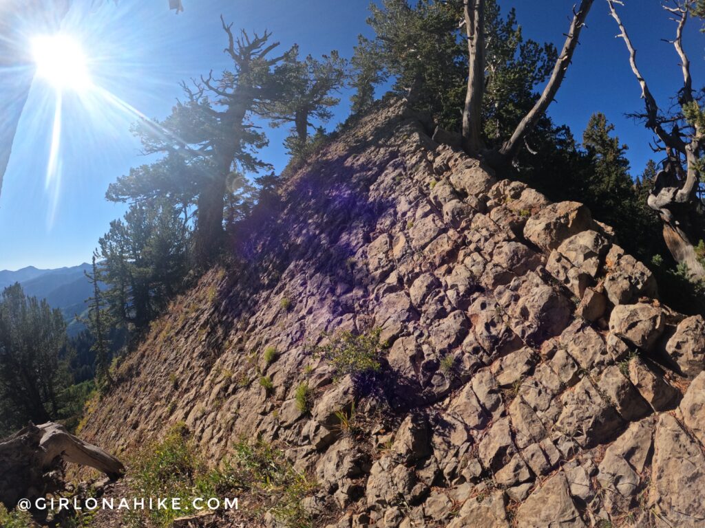 Hiking to Gobblers Knob and Mt. Raymond