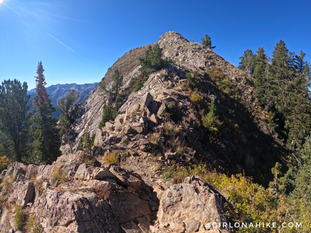 Hiking to Gobblers Knob and Mt. Raymond