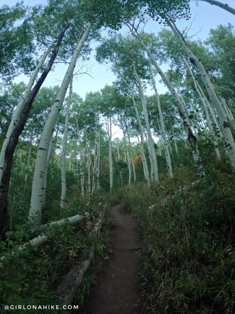 Hiking to Gobblers Knob and Mt. Raymond