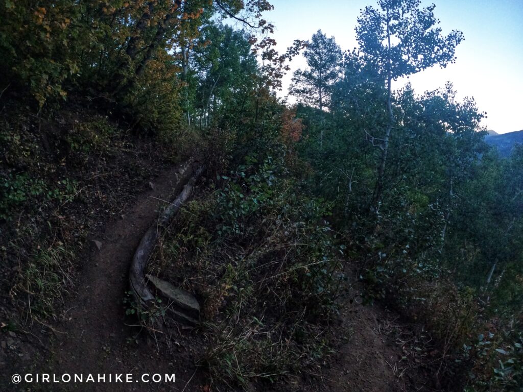 Hiking to Gobblers Knob and Mt. Raymond