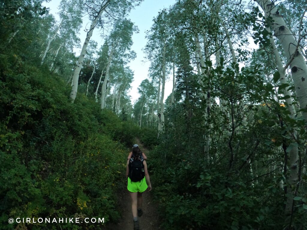 Hiking to the Pfeifferhorn, Little Cottonwood Canyon