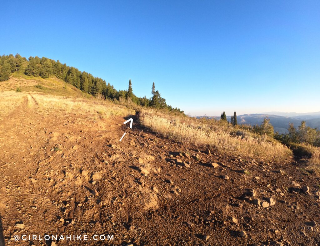 Hiking Ben Lomond Peak via North Skyline Trail, Ogden