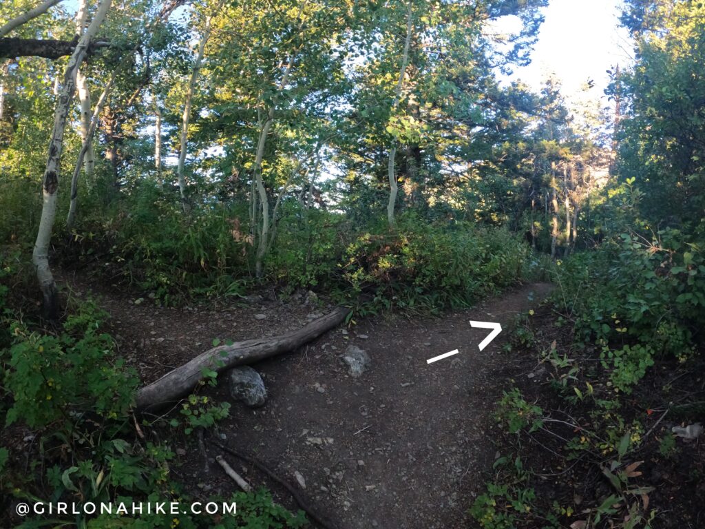 Hiking to Gobblers Knob and Mt. Raymond