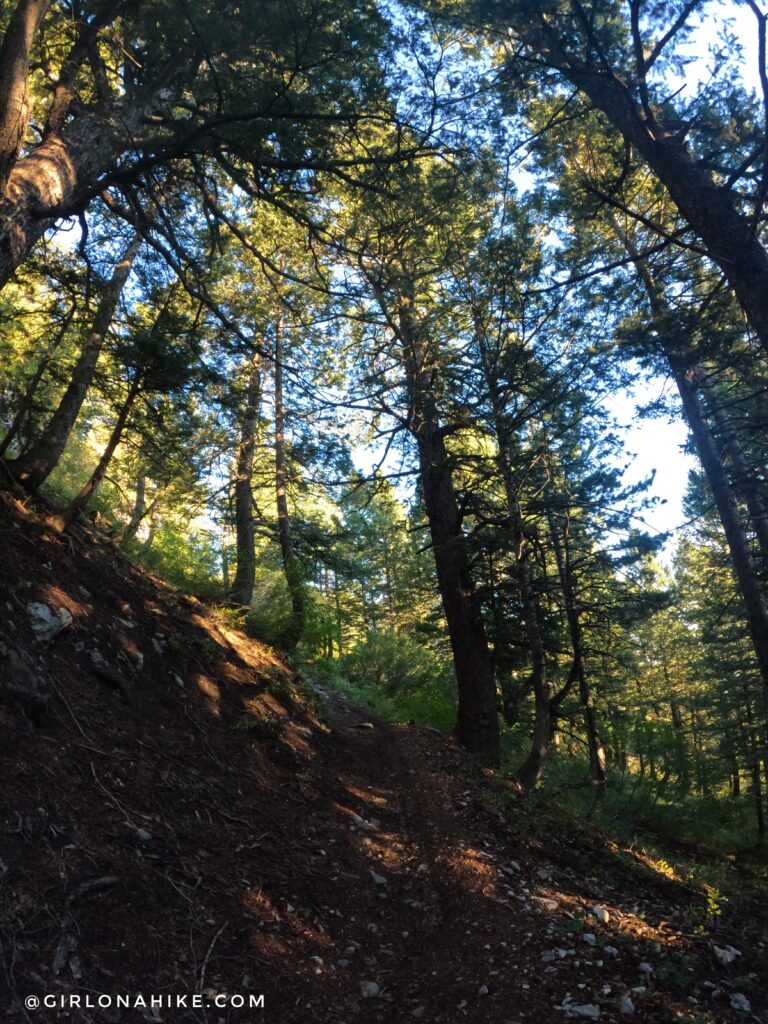 Hiking Ben Lomond Peak via North Skyline Trail, Ogden