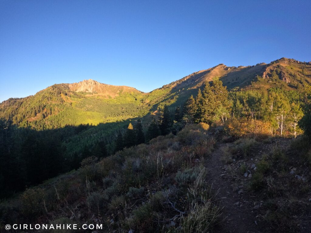 Hiking to Gobblers Knob and Mt. Raymond