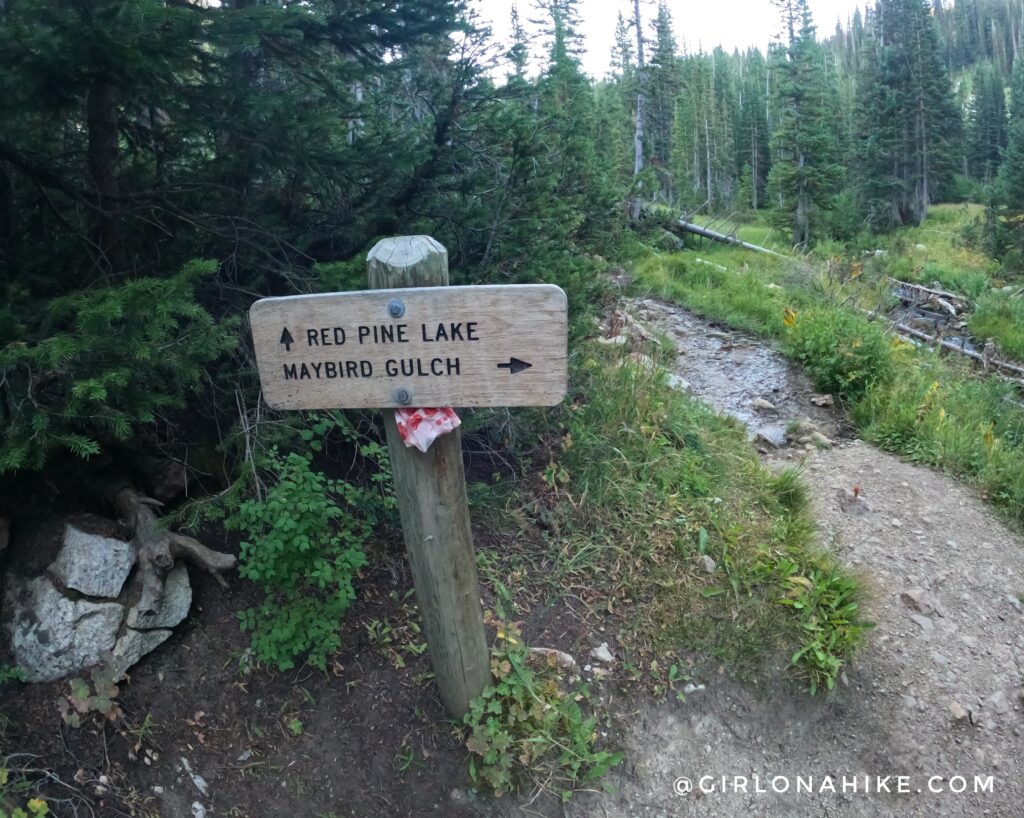 Hiking to the Pfeifferhorn, Little Cottonwood Canyon