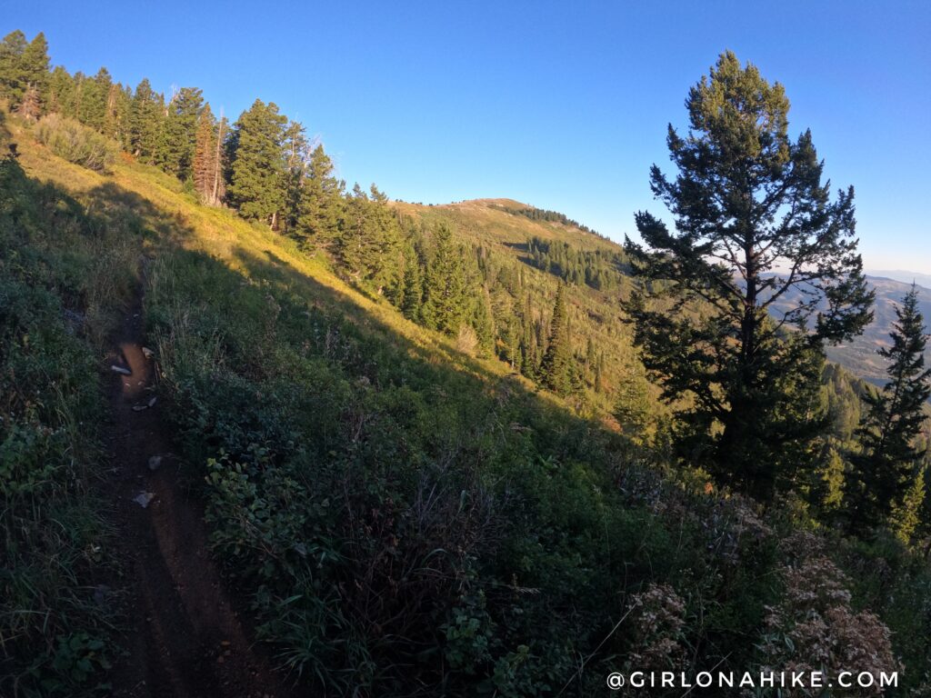 Hiking Ben Lomond Peak via North Skyline Trail, Ogden