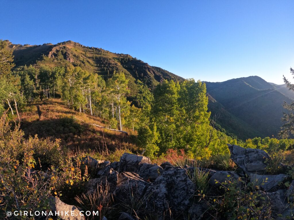 Hiking to Gobblers Knob and Mt. Raymond