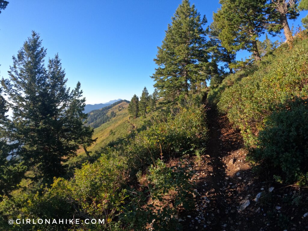 Hiking Ben Lomond Peak via North Skyline Trail, Ogden