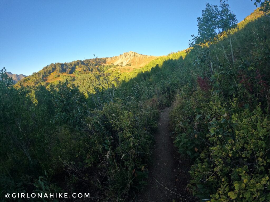 Hiking to Gobblers Knob and Mt. Raymond