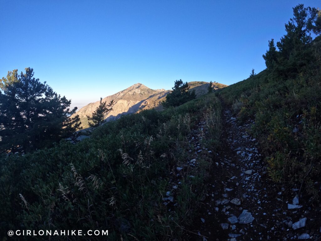 Hiking Ben Lomond Peak via North Skyline Trail, Ogden