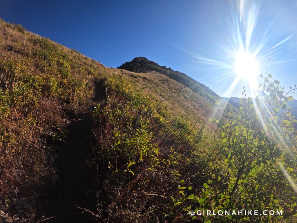 Hiking to Gobblers Knob and Mt. Raymond