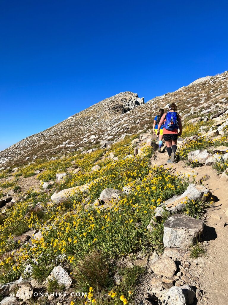 Hiking to the Pfeifferhorn, Little Cottonwood Canyon