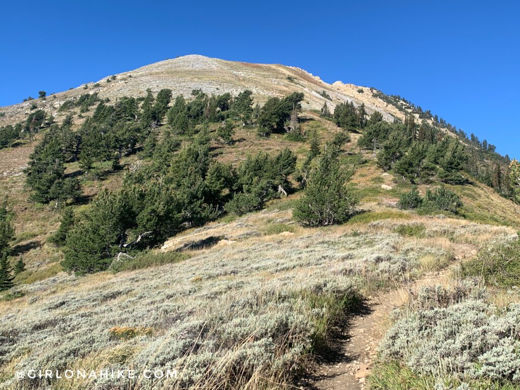 Hiking Ben Lomond Peak via North Skyline Trail, Ogden