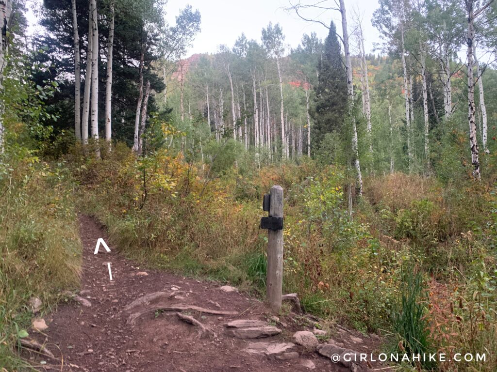 Hiking to Gobblers Knob and Mt. Raymond