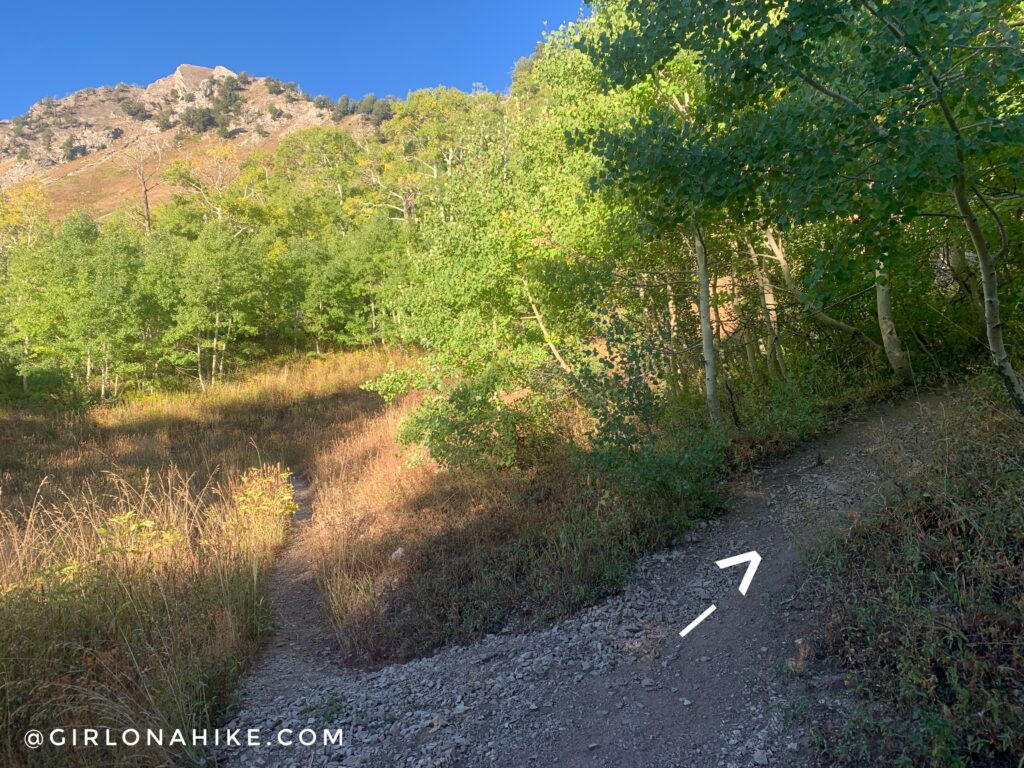 Hiking to Gobblers Knob and Mt. Raymond