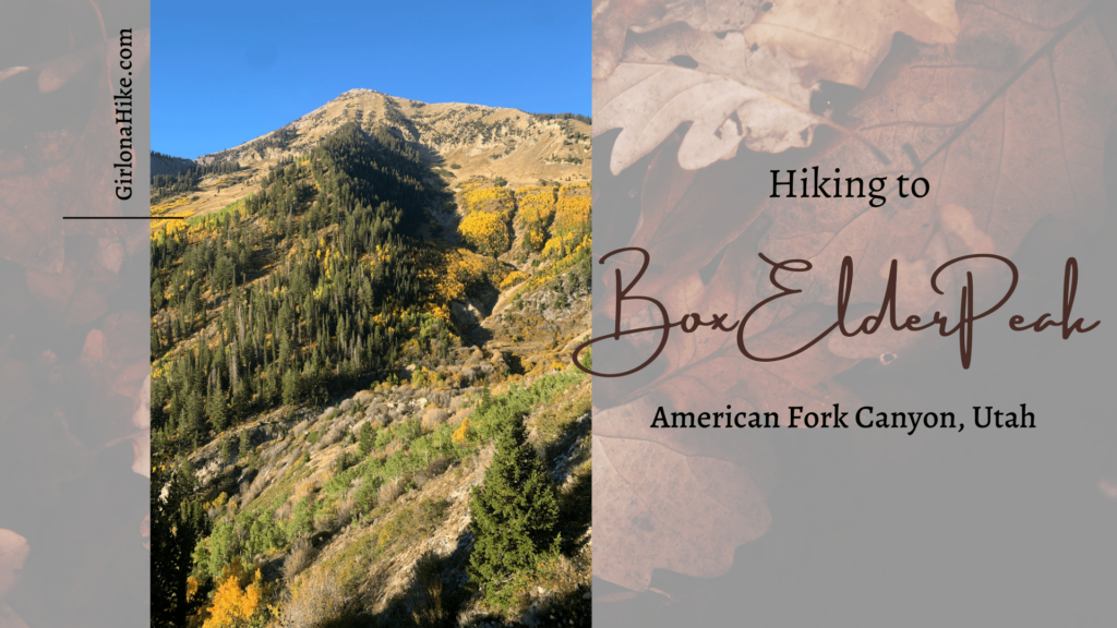 Hiking to Box Elder Peak, American Fork Canyon