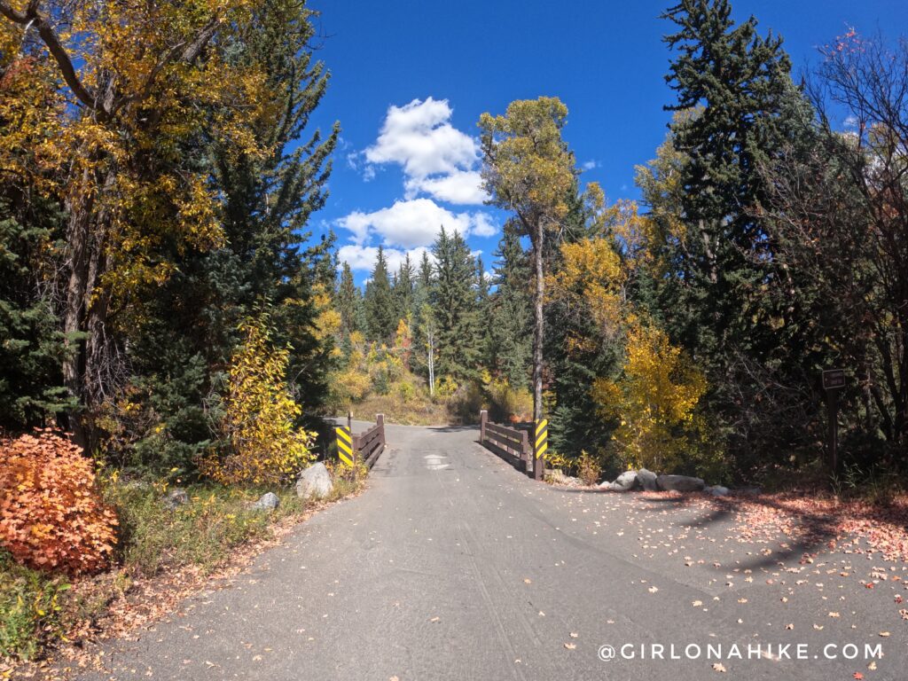 Hiking to Box Elder Peak, American Fork Canyon