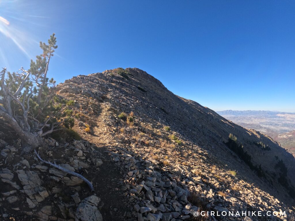 Hiking to Box Elder Peak, American Fork Canyon