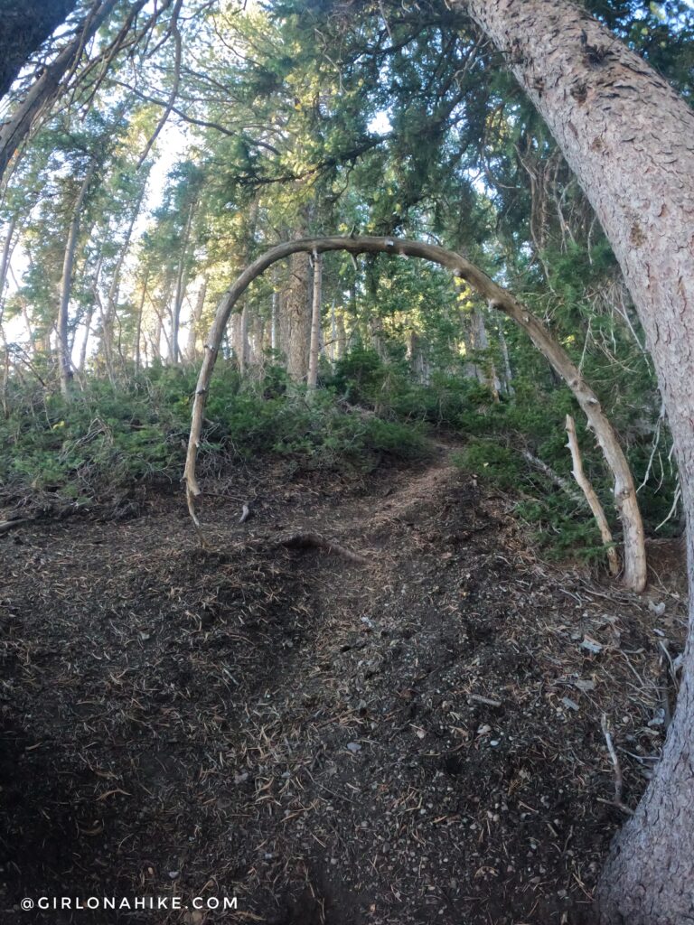 Hiking to Box Elder Peak, American Fork Canyon