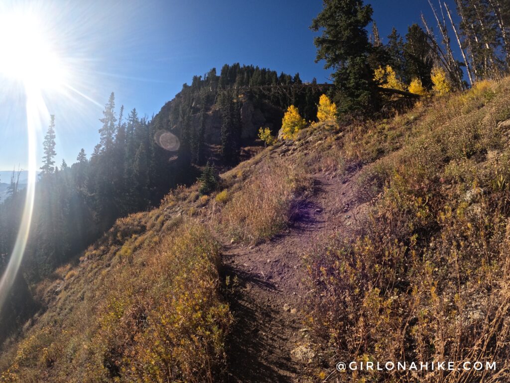 Hiking to Box Elder Peak, American Fork Canyon