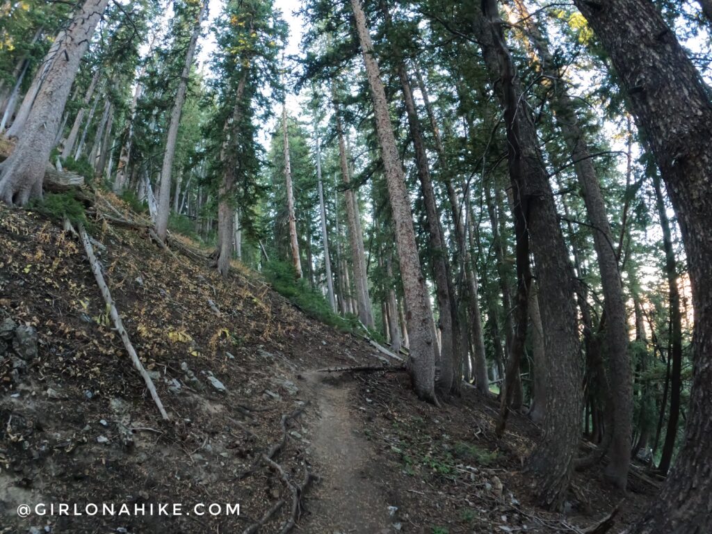 Hiking Kessler Peak, Big Cottonwood Canyon