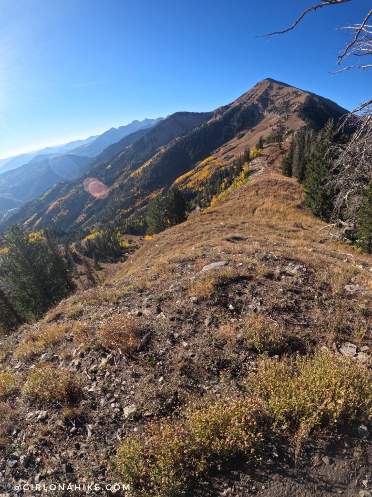 Hiking to Box Elder Peak, American Fork Canyon