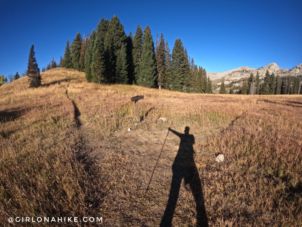 Hiking to Box Elder Peak, American Fork Canyon