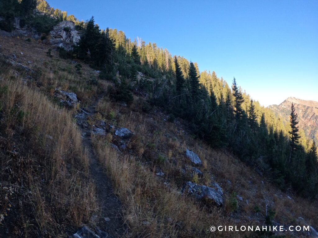 Hiking Kessler Peak, Big Cottonwood Canyon