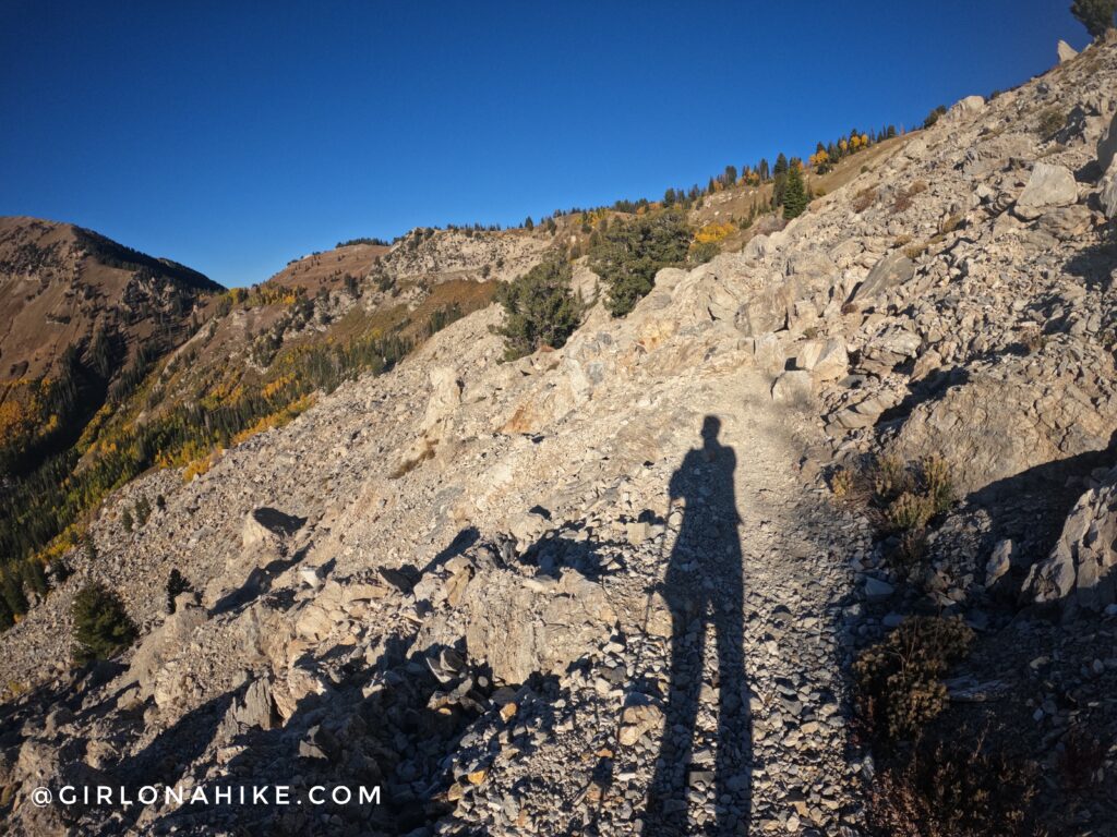 Hiking to Box Elder Peak, American Fork Canyon