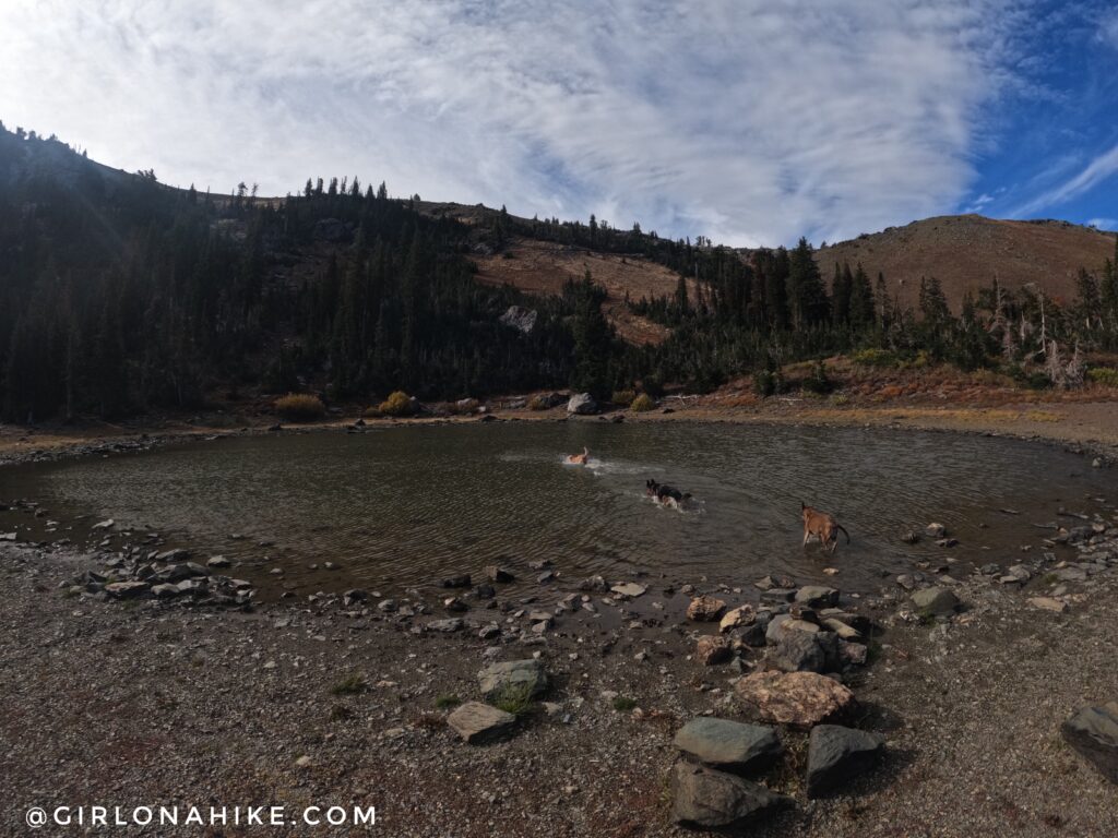 Hiking to Willard Peak & Ben Lomond Peak via Willard Basin