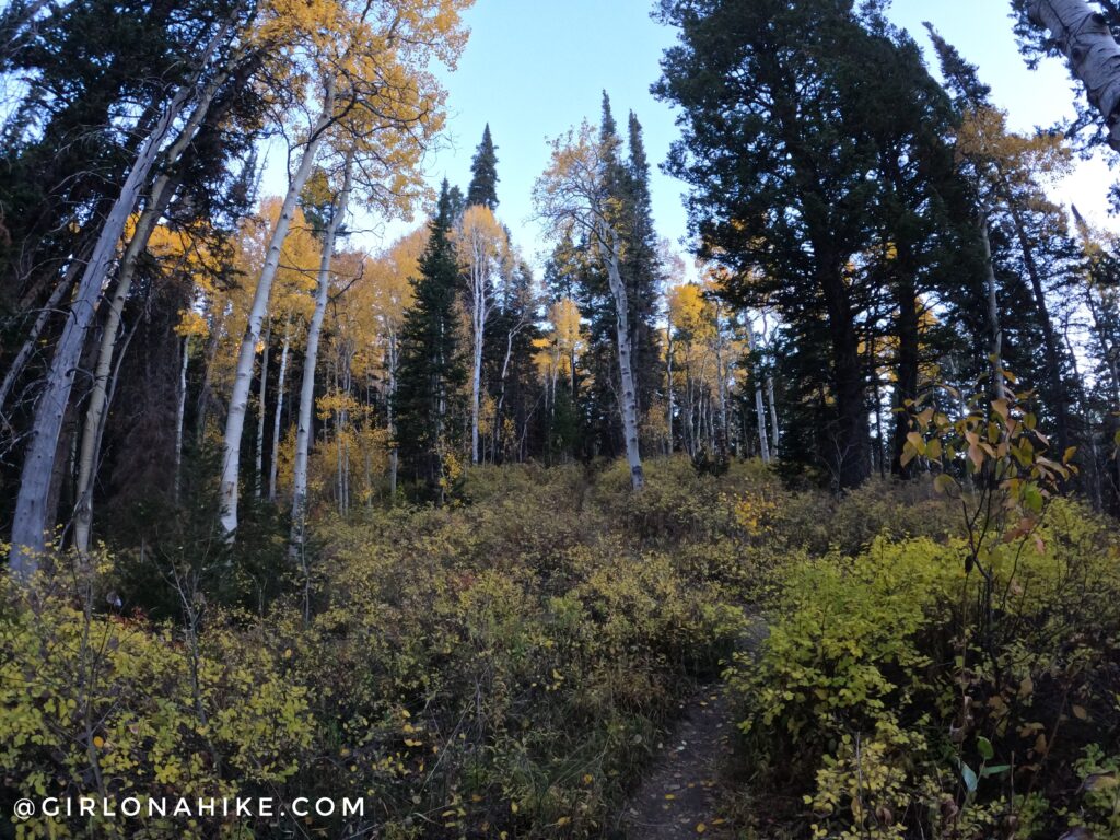 Hiking Kessler Peak, Big Cottonwood Canyon