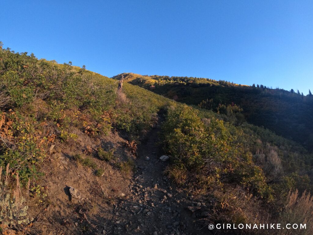 Hiking to Box Elder Peak, American Fork Canyon