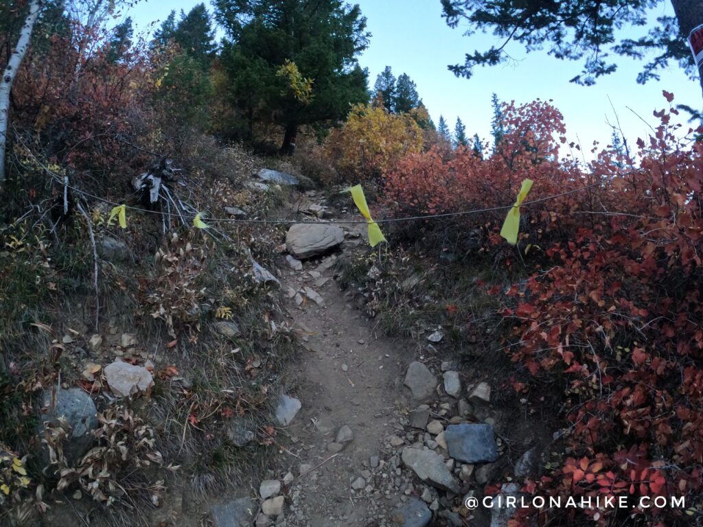 Hiking Kessler Peak, Big Cottonwood Canyon