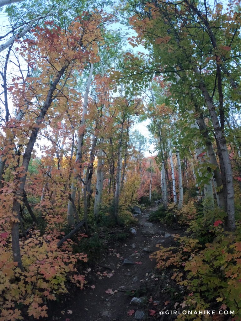 Hiking to Box Elder Peak, American Fork Canyon